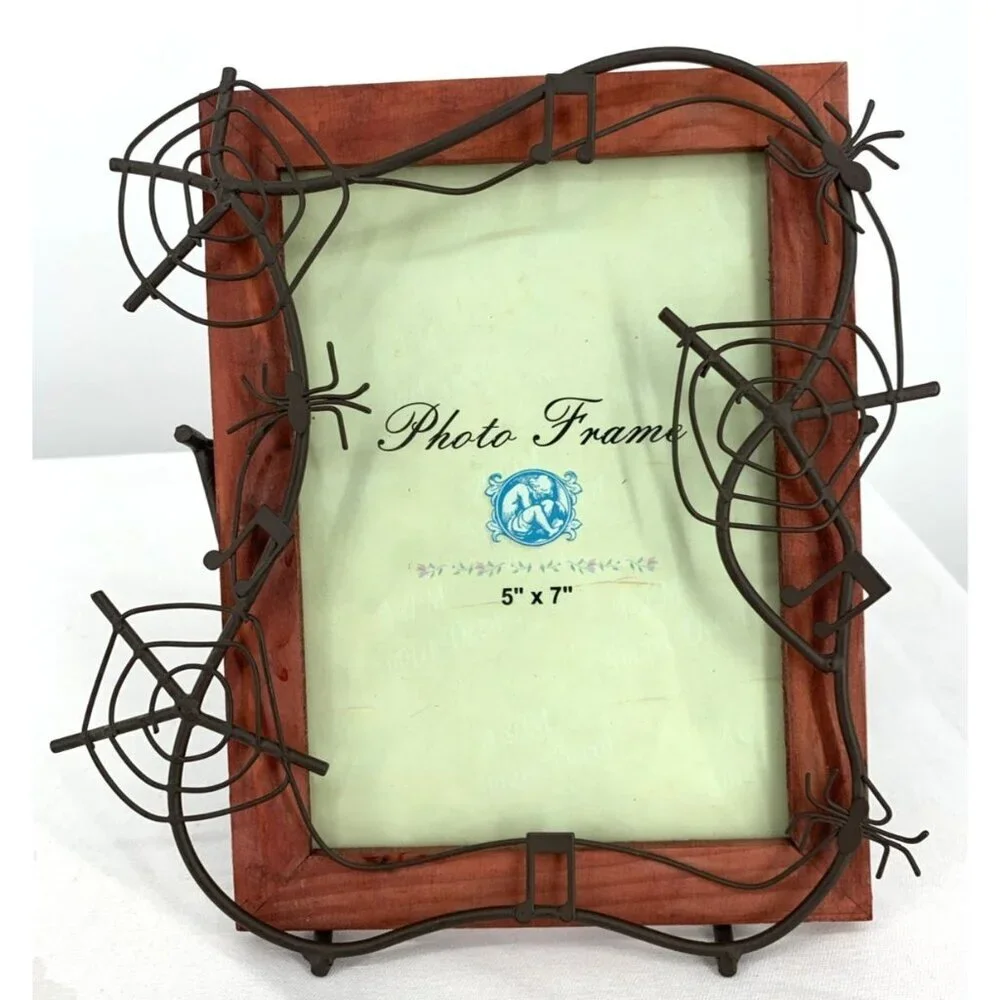 Spiders Spideweb Picture Frame 5 x 7
